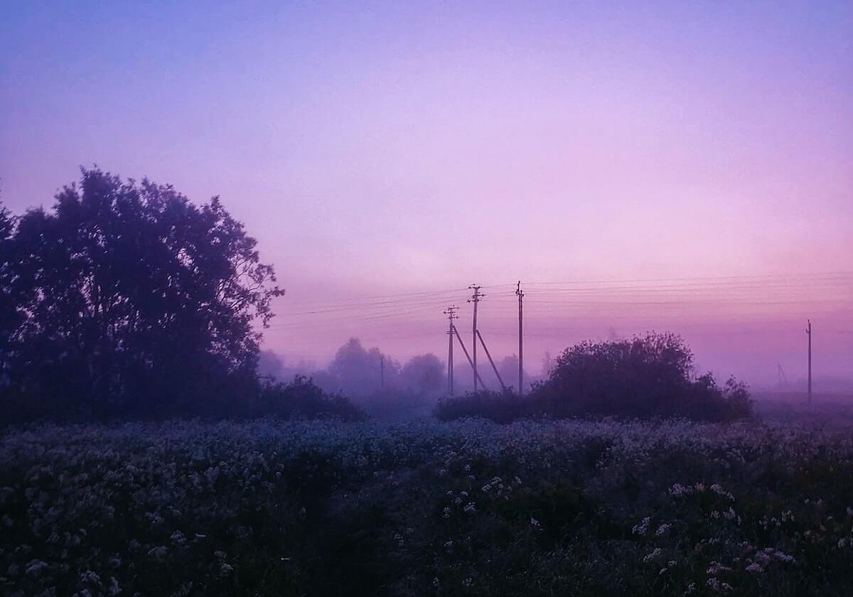 开云下载——开启极致数字体验的新方式